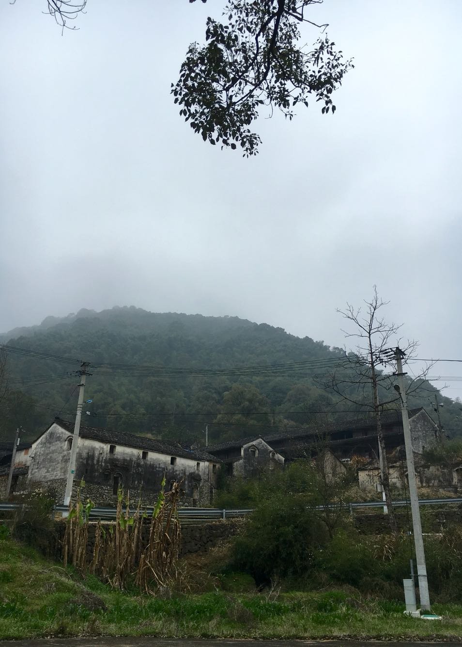 火石村天气预报更新通知