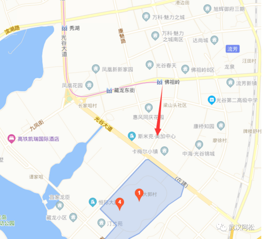 天河区自然资源和规划局推动生态文明建设，打造绿色宜居城区新动态