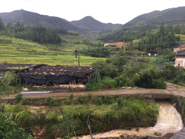 陌上柳絮倾城雪