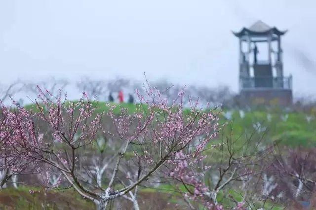 华墅乡新发展规划，塑造乡村新貌，推动可持续发展之路