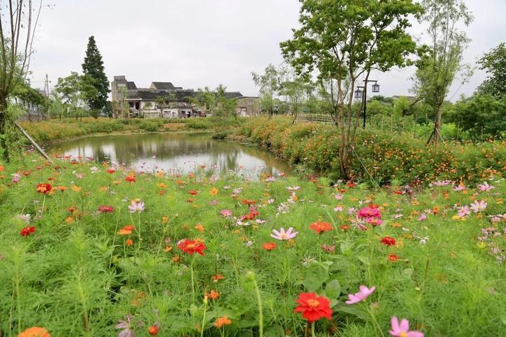 东普村新项目，乡村发展的典范引领者