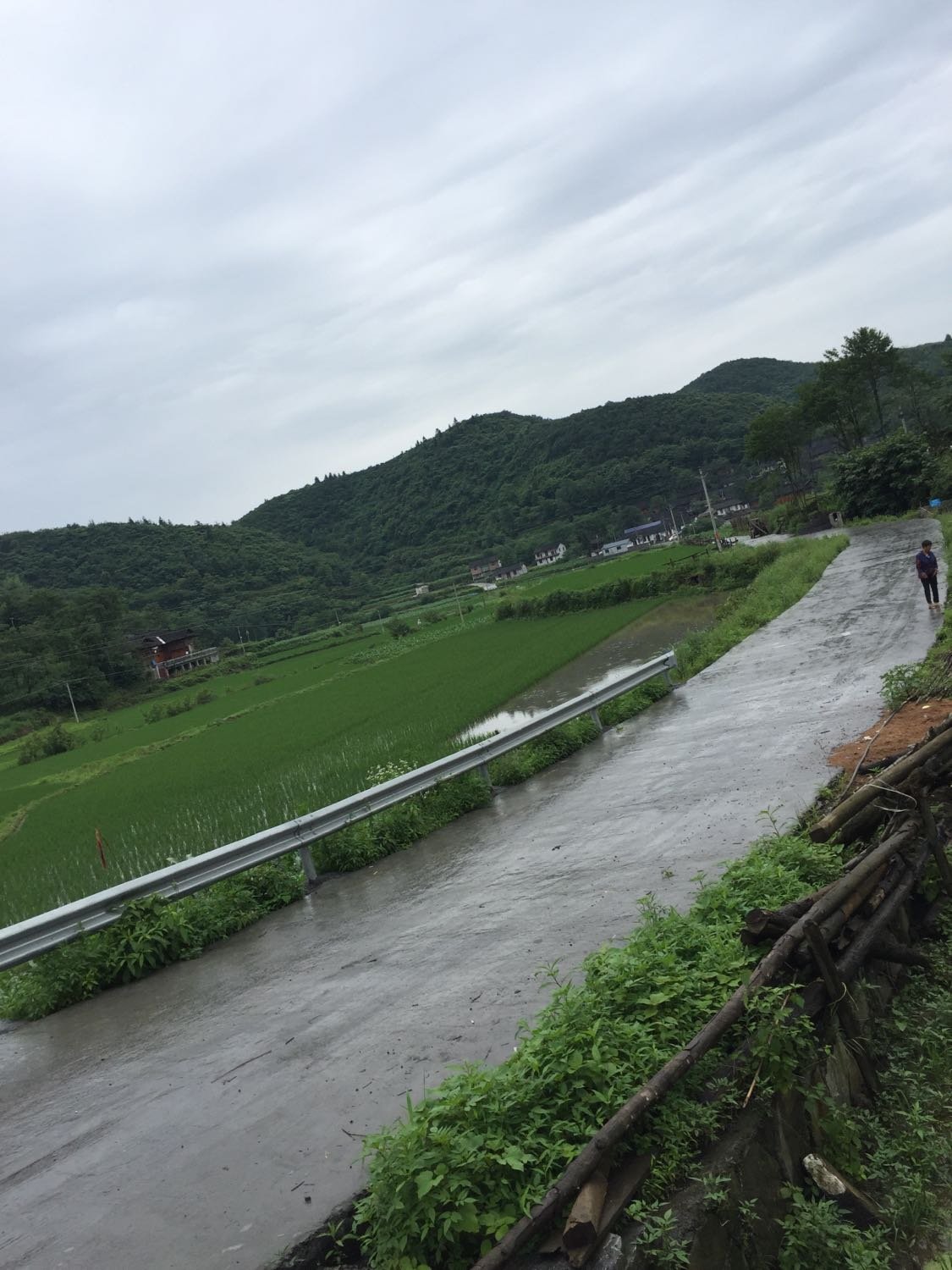 思布村天气预报更新通知