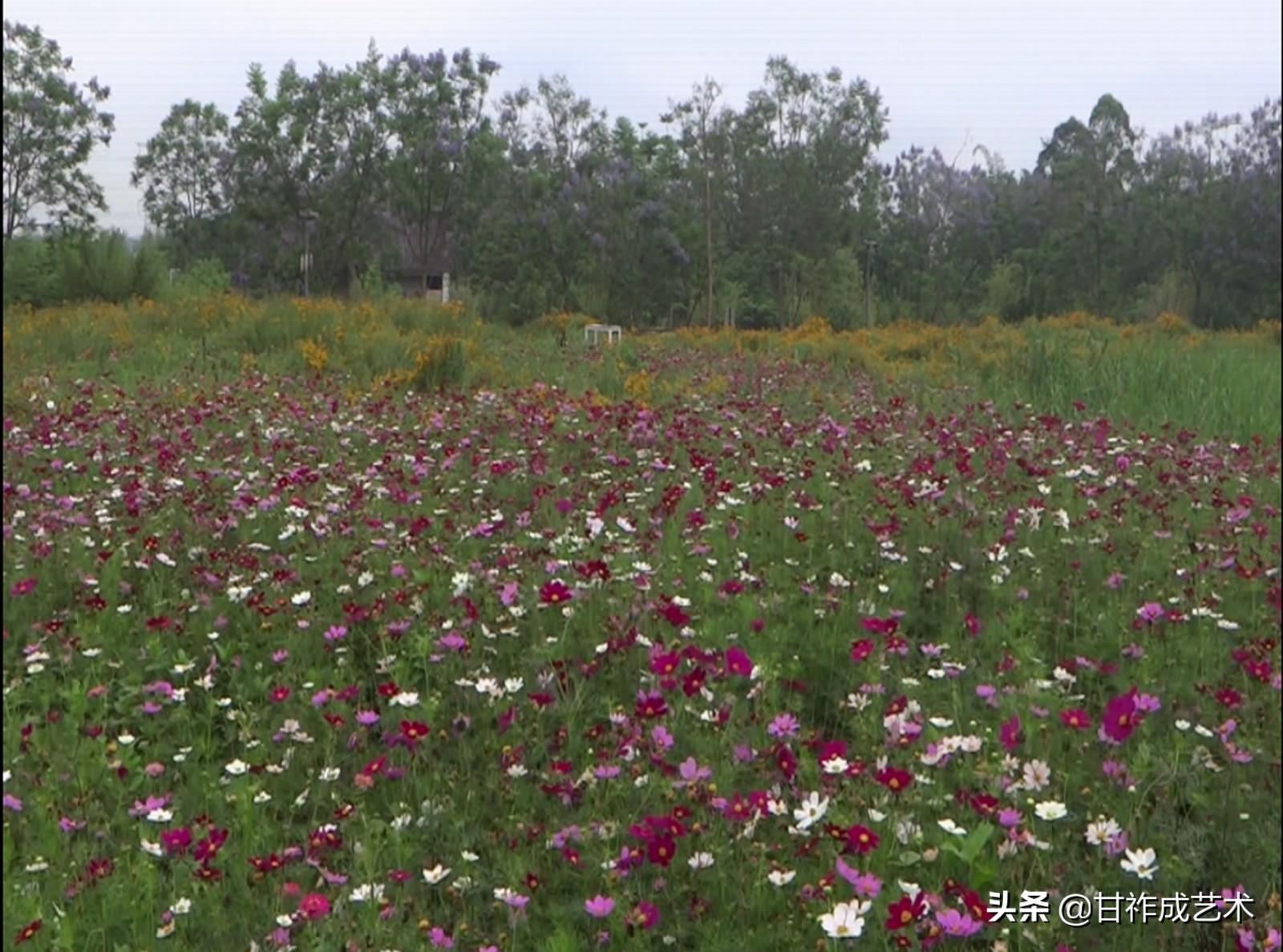 百胜村重塑乡村面貌，推动可持续发展新规划