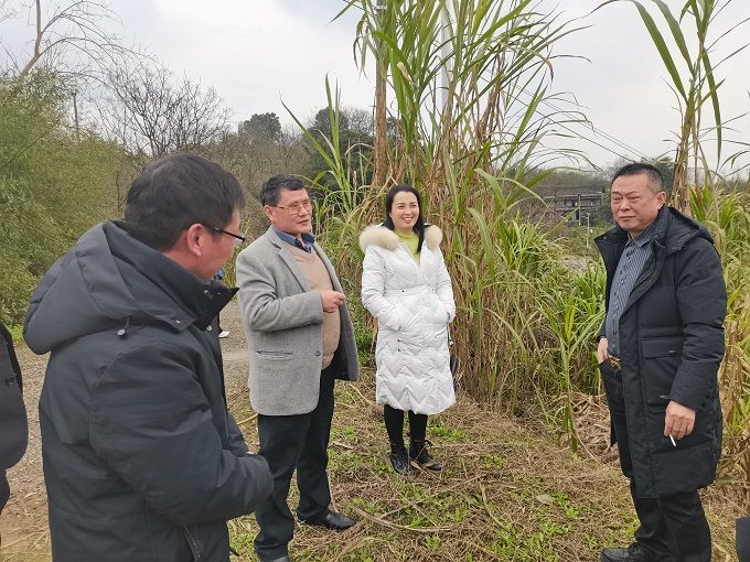 长寿区农业农村局领导团队全新亮相，未来展望与战略规划