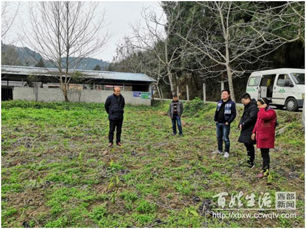 遂宁市扶贫开发领导小组办公室最新动态报道