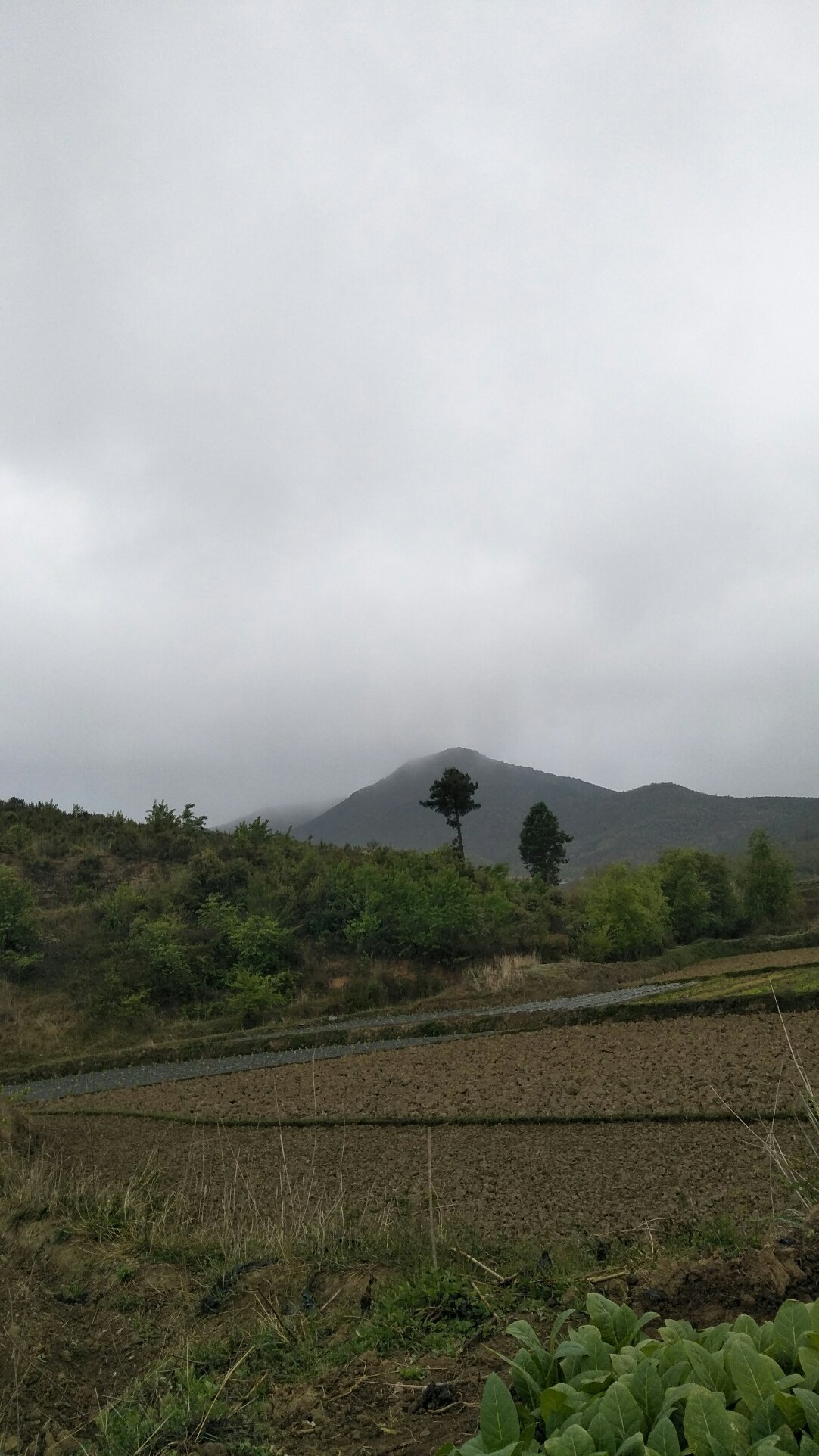 峰山乡天气预报更新通知