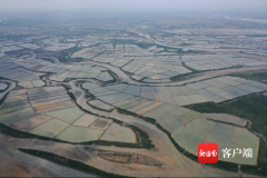 月田镇新项目引领地方经济塑造未来蓝图发展之路