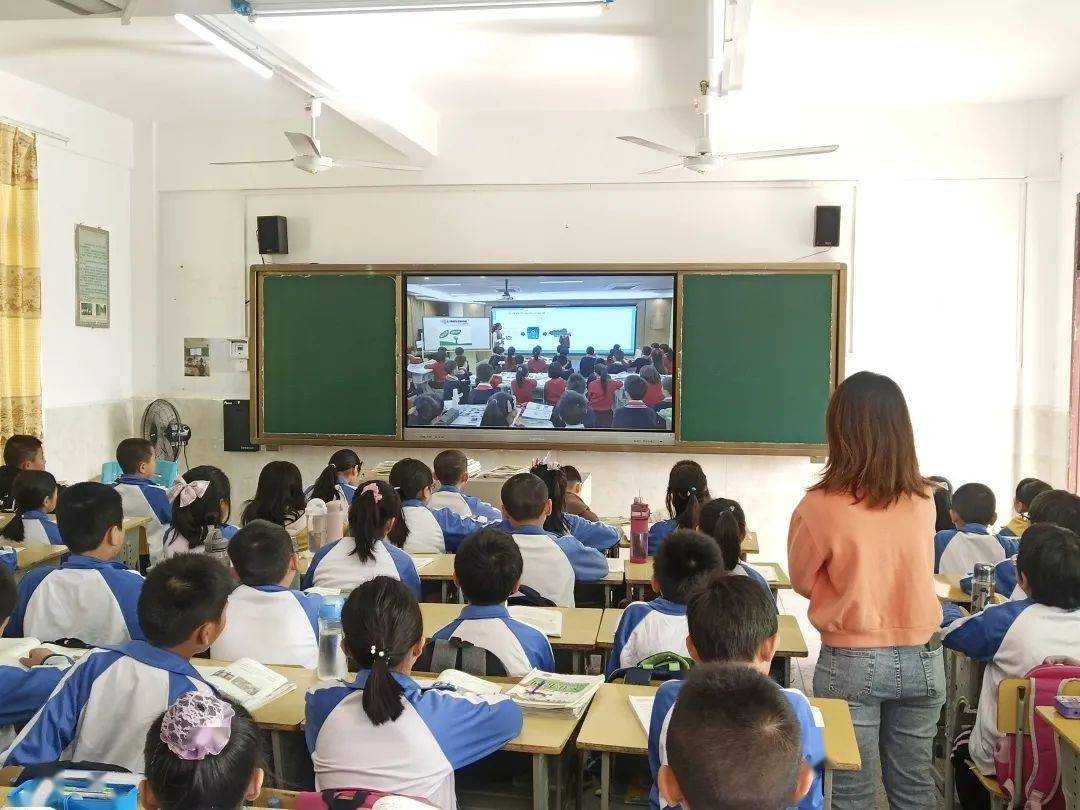 潮阳区小学新项目，开启教育新境界探索之旅