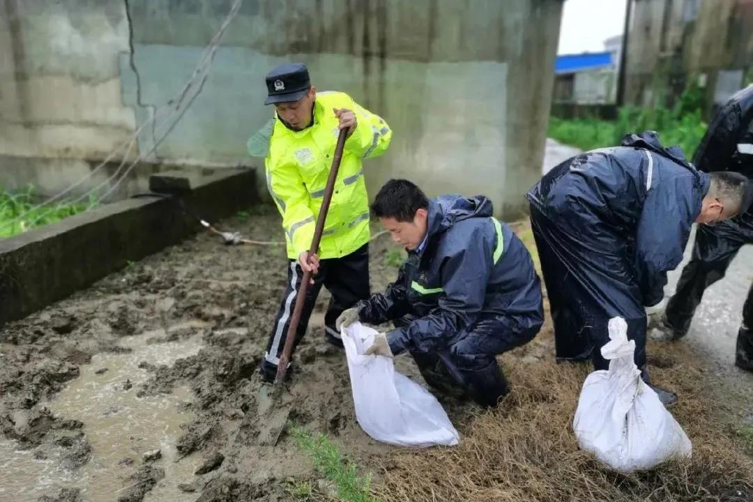 孟津县公安局最新招聘公告详解