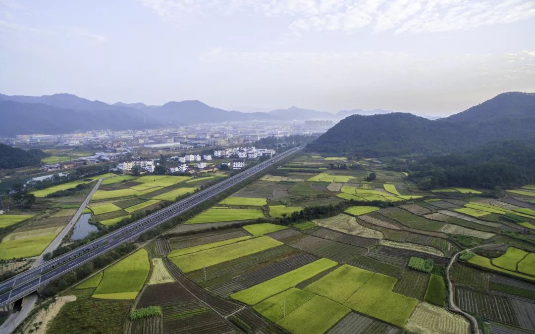 缙云县水利局发展规划，构建可持续水生态系统，推动县域经济繁荣发展