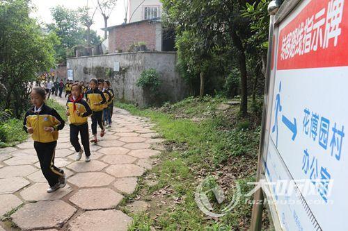 龙马潭区小学最新动态报道