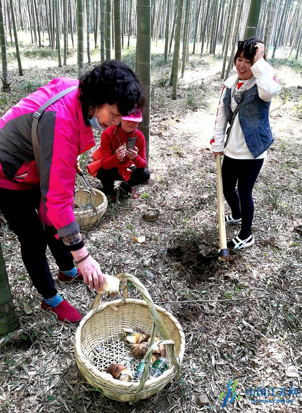 宜兴市林场最新招聘启事概览