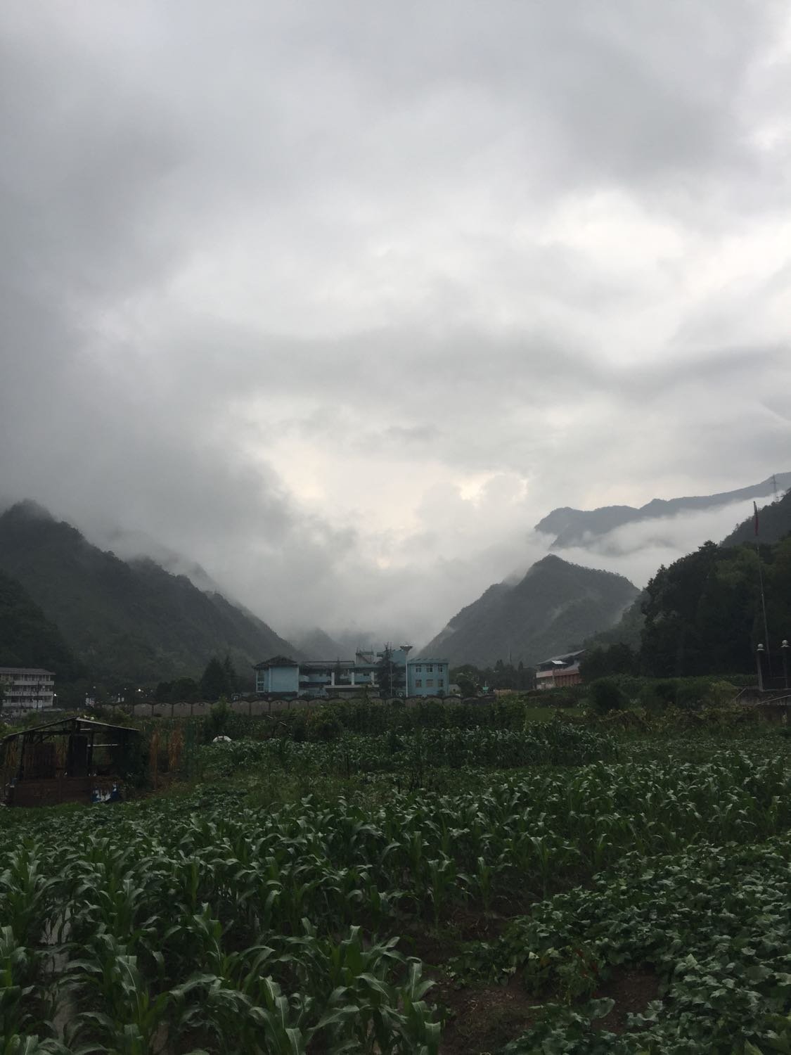 莫巴村今日天气预报更新通知