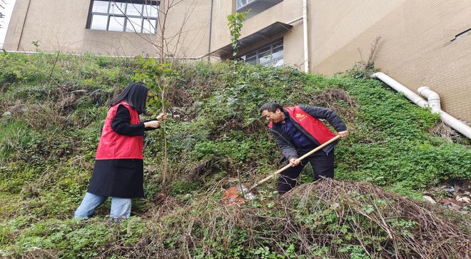 桃树坪社区居委会最新新闻动态报道